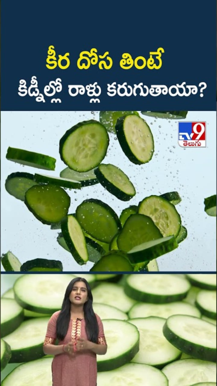 Cucumber Benefits: కీర దోస తింటే కిడ్నీల్లో రాళ్లు కరుగుతాయా..?