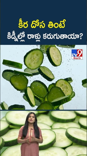 Cucumber Benefits: కీర దోస తింటే కిడ్నీల్లో రాళ్లు కరుగుతాయా..?