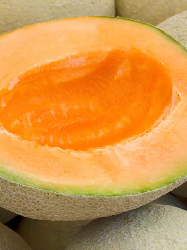 రోజూ కర్బుజా తింటే మీ శరీరంలో జరిగే మార్పులు ఇవే!