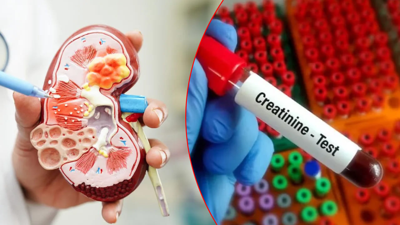 రక్తంలో క్రియాటినిన్ ఎందుకు పెరుగుతుంది..? ఈ లక్షణాలు కనిపిస్తే కిడ్నీలు దెబ్బతింటున్నట్లే..
