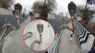 PM RAHAT: రోడ్డు ప్రమాద బాధితులకు గుడ్ న్యూస్.. లక్షన్నర వరకు ఉచిత వైద్యం.. ఇవి తెలుసుకోండి..