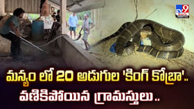 మన్యం లో 20 అడుగుల 'కింగ్ కోబ్రా'.. వణికిపోయిన గ్రామస్తులు