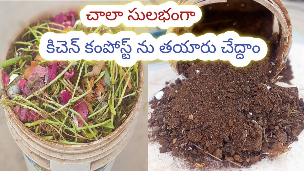 సులభంగా, ఖర్చు లేకుండా వాసన లేని కిచెన్ కంపోస్ట్ తయారీ..