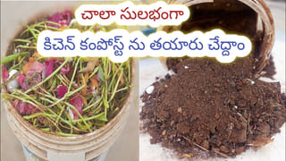 Andhra Pradesh: ఏపీలో సొంతిల్లు లేనివారికి ప్రభుత్వం భారీ శుభవార్త.. కొత్త ఇళ్లపై చంద్రబాబు కీలక అప్డేట్.. ఎప్పుడంటే..?