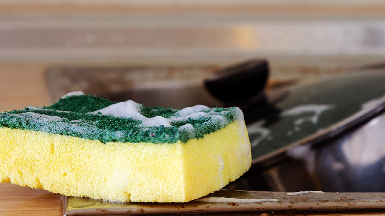 Kitchen Sponge 2
