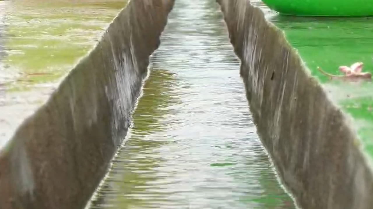 Andhra: ఈ నీరు ఒక్క గ్లాసు తాగితే ఎలాంటి అనారోగ్యమైనా ఖతం అట..