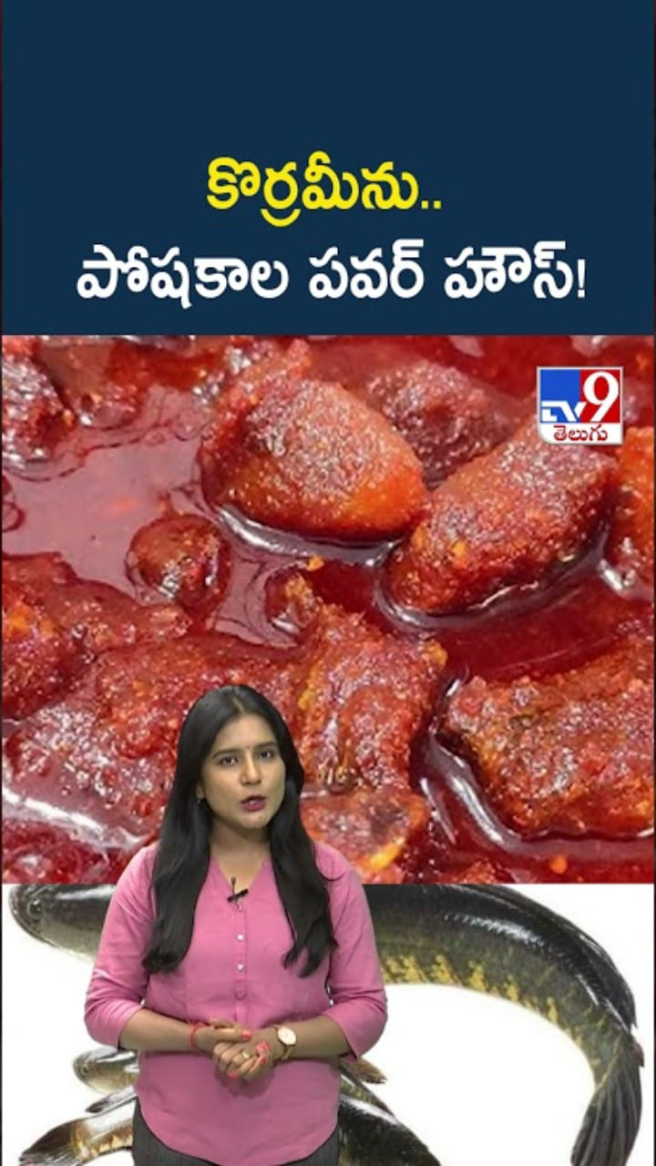 కొర్రమీను పోషకాల పవర్ హౌస్.. తింటే ఆరోగ్యానికి డబుల్ బూస్ట్!