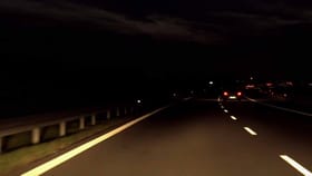 లైట్ల వెలుతురులో నల్లగా మెరుస్తూ కనిపించిన దృశ్యం..!