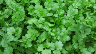 విపరీతమైన కోపం వస్తోందా? మీ హెల్త్‌ని దెబ్బతీస్తున్న సైలెంట్ కిల్లర్ గురించిన నిజాలు