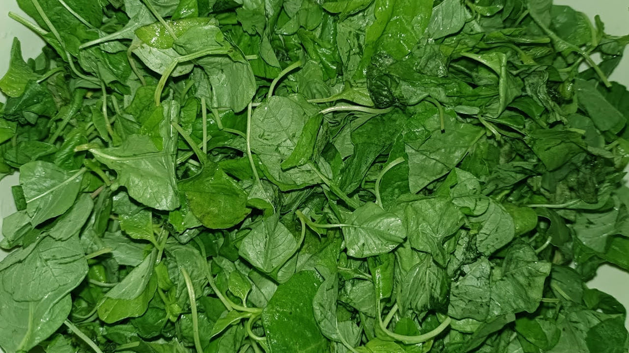 ఇప్పుడు గ్యాస్ వెలిగించి పాన్‌ పొయ్యి మీద పాన్ పెట్టి ఆయిల్ అది వేడయ్యాక దానిలో  చేసి అర టేబుల్ స్పూన్ ఆవాలు, అర టేబుల్ స్పూన్ జీలకర్ర, నాలుగు ఎండు మిర్చి, నాలుగు  కరివేపాకు ఆకులు వేసి బాగా వేయించండి.  ఆ తర్వాత కట్ చేసిన ఉల్లిపాయ ముక్కలు , నాలుగు వెల్లుల్లి రెబ్బలు, పచ్చిమిర్చి కూడా దీనిలో వేసి గోల్డ్ రంగులోకి మారే వరకు బాగా వేయించుకోవాలి. 
