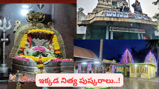 అయ్యో దేవుడా.. గాలి వాన ఎంత పనిచేసింది.. పాపం రేవతి..