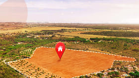 ఈ ఒక్క పని చేస్తే చాలు.. కబ్జా చేసిన భూమిని తిరిగి..