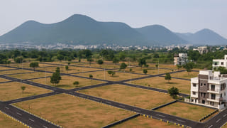 Chicken Prices: చికెన్ ప్రియులకు గుడ్ న్యూస్.. ఒక్కసారిగా పడిపోయిన చికెన్ ధరలు.. కిలో ఎంతంటే..?