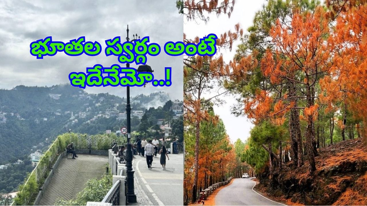 స్వర్గాన్ని అనుభవించాలనుకుంటున్నారా? కేవలం 24 ఇళ్లు, అపారమైన ప్రశాంతత! ఈ టూర్‌ మీకు వెల్కమ్‌ చెబుతోంది..