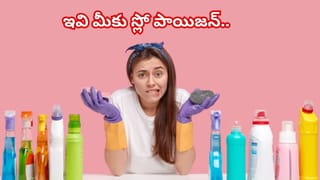 పులుపు, తీపి రుచులతో ఉల్లిపాయ మజ్జిగ పులుసు.. అన్నంలోకి సూపర్ కాంబినేషన్!