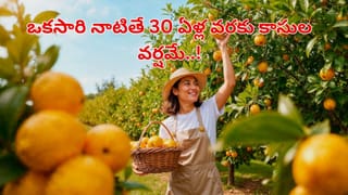 AC: ఏసీ ఆన్ చేసి ఫ్యాన్ వేస్తున్నారా.? పొరపాటున ఈ విషయాలు మర్చిపోకండి..