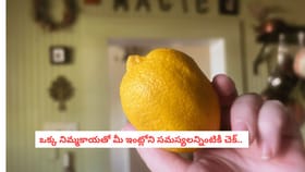 ఒక్క నిమ్మకాయతో మీ ఇంట్లోని సమస్యలన్నింటికీ చెక్..