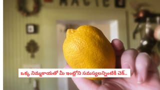 Srirangam Ranganathaswamy Temple: శ్రీరంగం మిస్టరీ..  ఇక్కడ స్వామివారి పాదరక్షలు వాటంతటవే అరిగిపోతాయా?