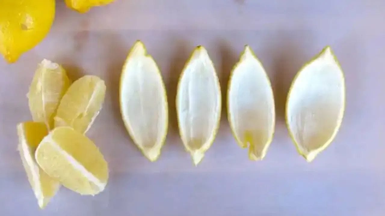 Lemon Peel
