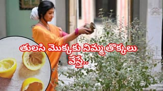 ఒక కప్పు పాలలో వీటిని వేసి మరిగించి తాగండి.. అక్కడ రెచ్చిపోవడం ఖాయం