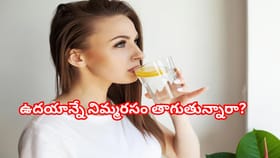 ఖాళీ కడుపుతో నిమ్మరసం, తేనె తాగుతున్నారా - ఇది తెలుసుకోవాల్సిందే!