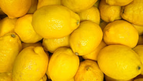 అబ్బ.. నిమ్మకాయలు ఇలా స్టోర్ చేస్తే 3 నెలలు తాజాగా ఉంటాయ్..