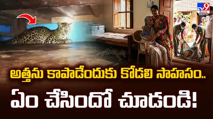 అత్తను కాపాడేందుకు కోడలి సాహసం.. ఏం చేసిందో చూడండి అత్తను కాపాడేందుకు కోడలి సాహసం.. ఏం చేసిందో చూడండి