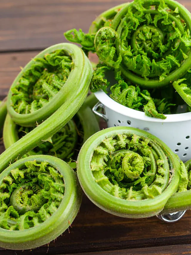 హిమాలయ కొండల్లో లభించే ఆరోగ్య సంజీవని..ప్రయోజనాలు తెలిస్తే