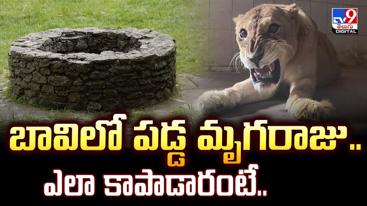 బావిలో పడ్డ మృగరాజు.. ఎలా కాపాడారంటే..