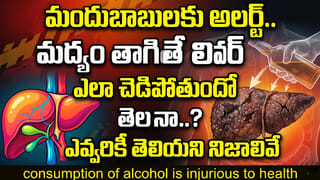 చీమలపై దండయాత్ర.. ఇంటి నుంచి వాటిని తరిమికొట్టే సూపర్ చిట్కాలు ఇవే..