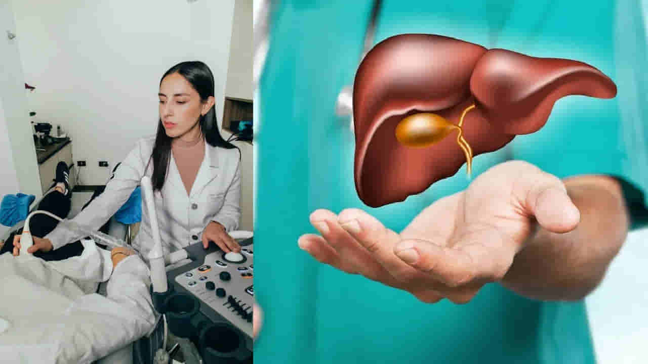 కాలేయం, ప్రేగులు ఆరోగ్యంగా ఉండాలంటే ఏం తినాలి..? డాక్టర్ చెప్పిన 3 సూపర్ ఫుడ్స్ ఇవే..