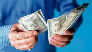 Mango Preservation: అమ్మమ్మల కాలం నాటి చిట్కా: మామిడి తురుము ఫ్రిజ్ లేకున్నా తాజాగా ఉండాలంటే ఏం చేయాలి?