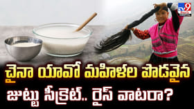 చైనా యావో మహిళల పొడవైన జుట్టు సీక్రెట్.. రైస్ వాటరా ??
