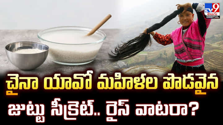 చైనా యావో మహిళల పొడవైన జుట్టు సీక్రెట్.. రైస్ వాటరా ?? చైనా యావో మహిళల పొడవైన జుట్టు సీక్రెట్.. రైస్ వాటరా ??