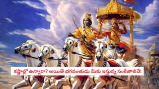 Lord Krishna: పెళ్లి ఆలస్యమవుతోందా? అయితే కారణం కేవలం జాతకం మాత్రమే కాదు.. అసలు విషయం ఇదీ!