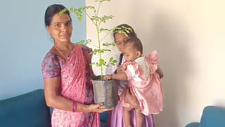 ఐఏఎస్ క్వార్టర్స్‌లో ‘డాగ్ ఫైట్’.. పెంపుడు కుక్క చిచ్చు.. పోలీస్ స్టేషన్ మెట్లెక్కిన అధికారులు!