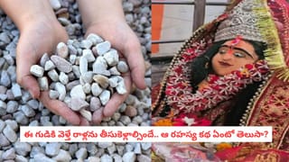 కేదార్‌నాథ్ వెళ్లే భక్తులకు శుభవార్త.. దర్శనం ఉచితం.. మిగిలిన పూజా వివరాలు ఇలా..!