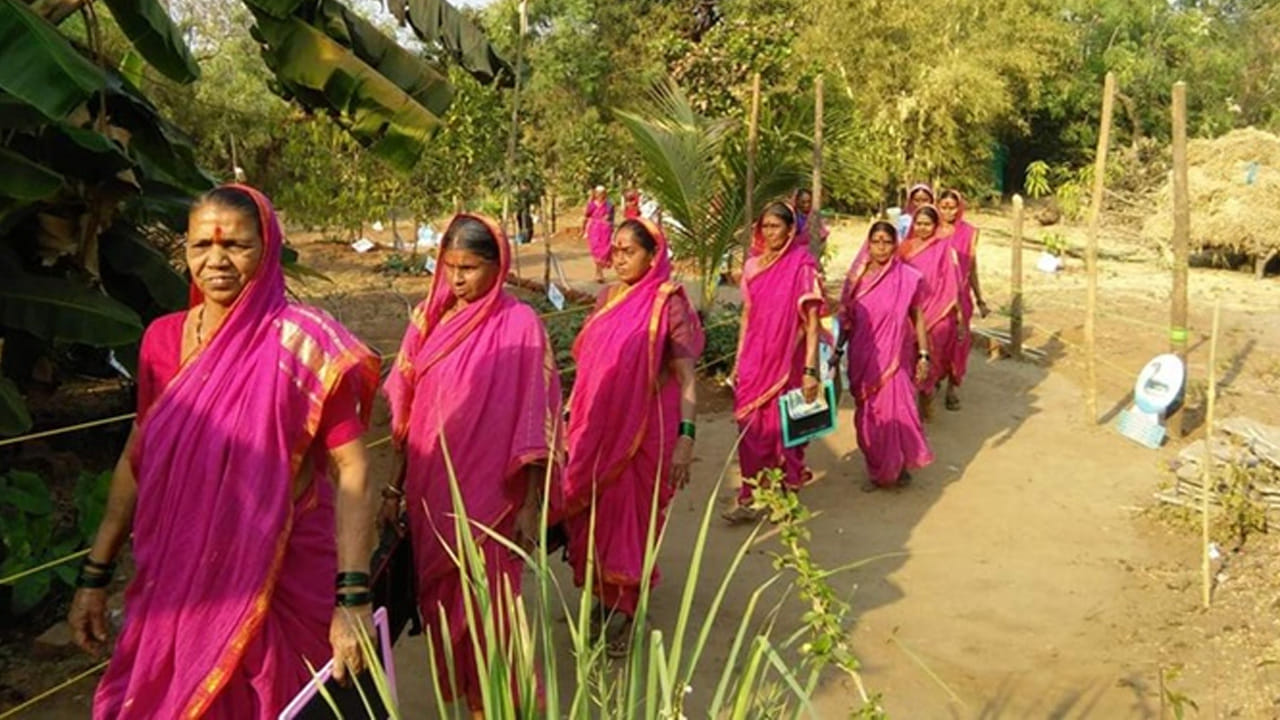 ఏజ్ జస్ట్ నంబర్ మాత్రమే! నేర్చుకోవడానికి వయస్సు ఏమాత్రం అడ్డంకి కాదనే సందేశాన్నిచ్చే పాఠశాల ఆజీబాయిచీ శాల. చిన్నప్పుడు చదువుకోలేనివాళ్లు ఎప్పుడైనా చదువుకునే అవకాశాన్ని కల్పించిన స్కూల్ ఇది. వయస్సుతో పాటే ఆకాంక్షలకు ఫుల్ స్టాప్ పెట్టకుండా.. కొత్తగా ఎప్పుడైనా మొదలుపెట్టి ధైర్యాన్నిచ్చే ఒక మార్పును చూపించింది ఈ బడి. విద్య అంటే కేవలం డిగ్రీలు, ఉపాధి, ఉద్యోగాలు మాత్రమే కాదు. ఆత్మగౌరవం, ఆత్మవిశ్వాసం, ఎప్పటికైనా నేర్చుకోవచ్చనే ఆనందం అనే సందేశాన్నిచ్చి ఇప్పుడు దేశంలోనే ఆజీబాయిచీ శాల ప్రత్యేకతను సంపాదించుకుంది.