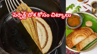 కూల్‌డ్రింక్స్‌తో పనిలేదు.. ఈ 3 సూపర్ ఫుడ్స్‌ తింటే మీ బాడీలో కూలర్ ఉన్నటే.. డే మొత్తం కూల్ కూల్