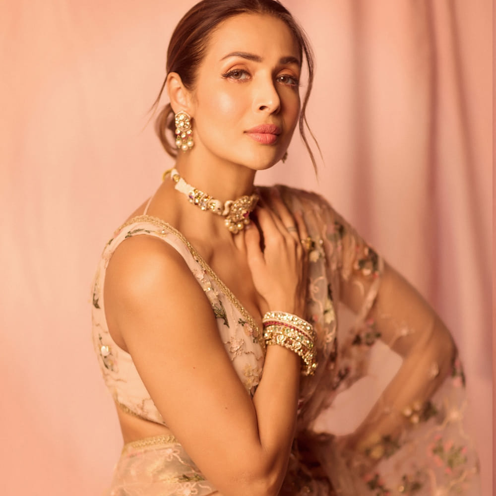 బాలీవుడ్ లో ప్రస్తుతం ఈ చిన్నది పలు టీవీ షోల్లో కనిపించి ఆకట్టుకుంటుంది. ఇక ఈ బ్యూటీ సల్మాన్ ఖాన్ సోదరుడిని పెళ్లి చేసుకొని ఆతర్వాత అతనికి విడాకులు ఇచ్చింది. ఆతర్వాత యంగ్ హీరో అర్జున్ కపూర్ తో ప్రేమాయణం సాగించింది.