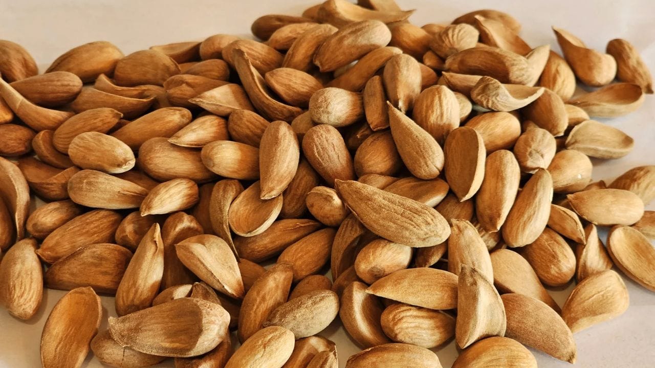 సాధారణ బాదంతో పోలిస్తే మామ్రా బాదం రుచి కూడా వేరేగా ఉంటుంది. ఇది చాలా కరకరలాడుతూ, సహజమైన తీపిని కలిగి ఉంటుంది. దీనిలోని అధిక నూనె శాతం వల్ల తింటున్నప్పుడు చాలా రిచ్‌గా, క్రీమీగా అనిపిస్తుంది. దీని ఆకారం సాధారణ బాదంలా కాకుండా కొంచెం పడవ లాగా వంగి ఉంటుంది. దీని ఉపరితలం కూడా కొంచెం గరుకుగా ఉంటుంది. ఇదే దీని అసలైన గుర్తింపు.