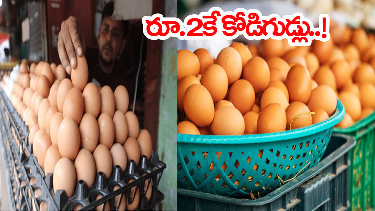 రూ.2కే కోడి గుడ్లు.. కొనేందుకు ఎగబడ్డ జనాలు! కాసేపటికే అసలు యవ్వారం రట్టు
