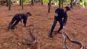 ఈ వీడియో చూస్తే మీ వెన్నులో వణుకు పుట్టాల్సిందే..!