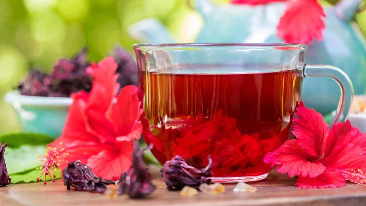 
జీర్ణక్రియను మెరుగుపరుస్తుంది..

మందార టీ తేలికగా జీర్ణమవుతుంది, కేలరీలు తక్కువగా ఉంటాయి. ఇది జీర్ణక్రియను మెరుగుపరచి మలబద్ధకాన్ని తగ్గించడంలో సహాయపడుతుంది. బరువు నియంత్రణలో ఉండాలనుకునే వారికి ఇది మంచి ఎంపిక.
