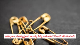Vastu Tips: కాకర తీగ ఇంట్లో పెంచితే జీవితంలోనూ చేదు నింపుతుందా? వాస్తు నిపుణులు చెబుతున్న షాకింగ్ నిజాలివే!