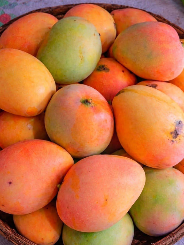 వేడి చేస్తుందని మామిడి పండ్లను దూరం పెడుతున్నారా?