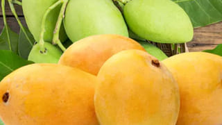 వావ్.. సబ్జా గింజలు ఇలా తీసుకుంటే శరీరంలో జరిగేదిదే.. ఆ సమస్యల ఊసే ఉండదు..