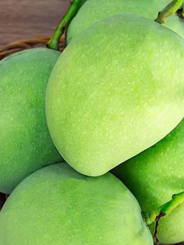 వీరికి మామిడి పండ్లు చాలా డేంజర్?