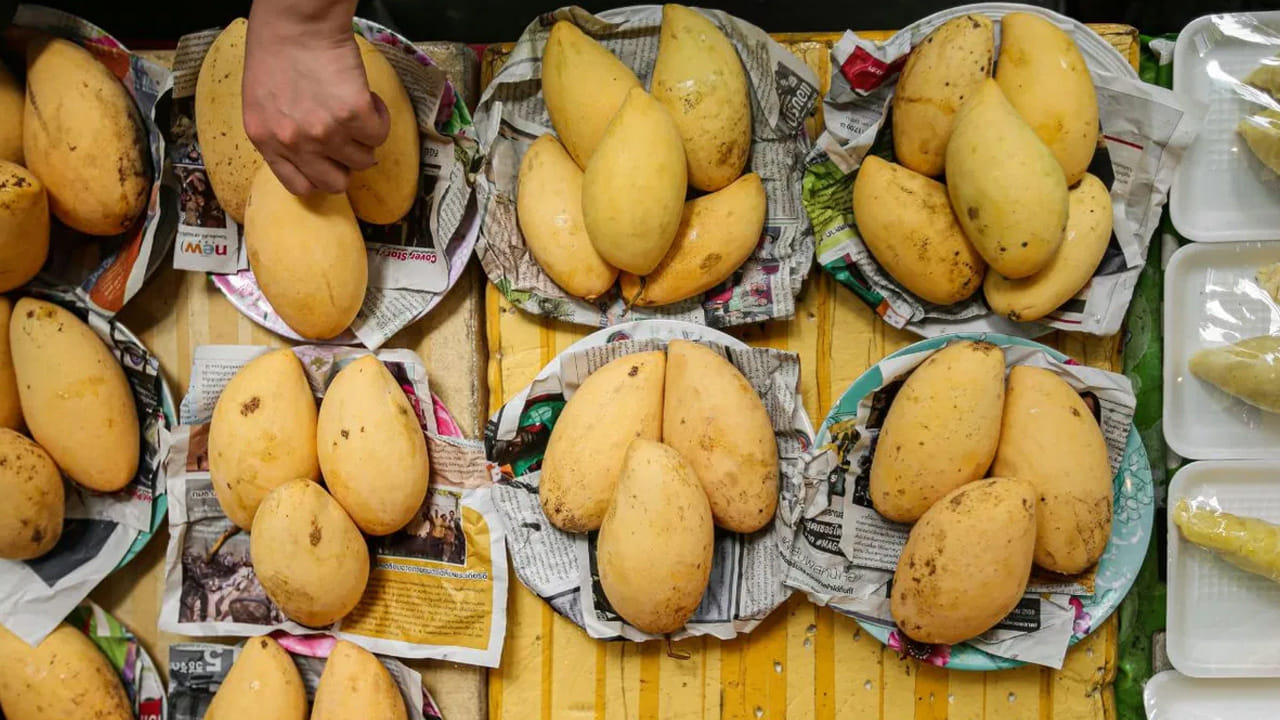 నీటి పరీక్ష (Float Test): ఒక బకెట్ నీటిలో మామిడి పండ్లను వేయండి. సహజంగా పండిన పండ్లు బరువుగా ఉండి అడుగుకు చేరుతాయి. రసాయనాలతో పండించిన పండ్లు నీటిపై తేలుతాయి.