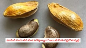 మామిడి పండు తిని టెంక పడేస్తున్నారా? అయితే మీరు నష్టపోతున్నట్టే